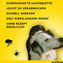 Best Adtab ™ Kautabletten für extra große Hunde 900 mg 22 bis 45 kg, 3 St