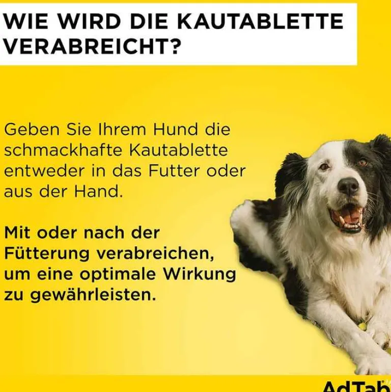 Discount ™ Kautabletten für mittelgroße Hunde 225 mg 5,5 bis 11 kg, 3 St Flöhe, Zecken & Co.