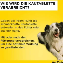 Discount Adtab ™ Kautabletten für sehr kleine Hunde 56 mg 1,3 bis 2,5 kg, 3 St
