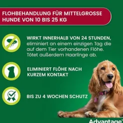 Outlet 250 für Hunde von 10-25 kg, 4 St Flöhe, Zecken & Co.