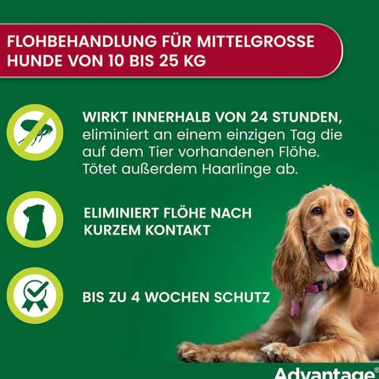 Outlet 250 für Hunde von 10-25 kg, 4 St Flöhe, Zecken & Co.