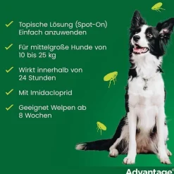 Outlet 250 für Hunde von 10-25 kg, 4 St Flöhe, Zecken & Co.