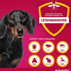 Sale Advantix Spot-on Hund bis 4 kg Lösung, 4 St