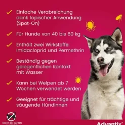 Advantix Spot-on Lösung z.Auftr.a.d.H.für Hund 40 - 60 kg, 4X6.0 ml
