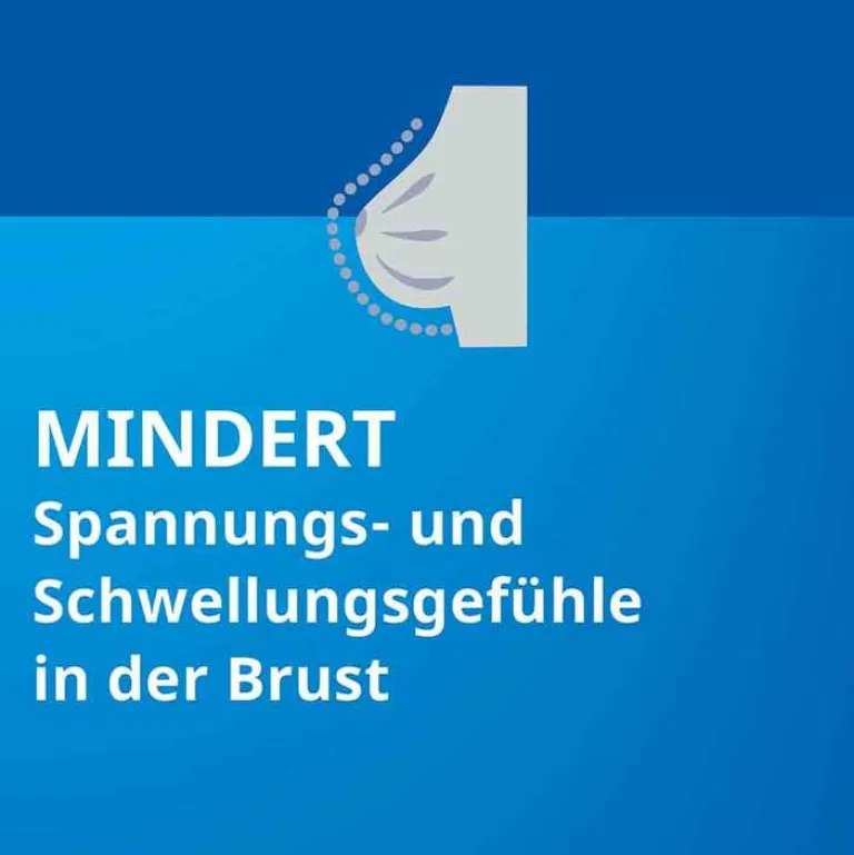 Outlet Agnus castus ® Filmtabletten, 60 St Pms Behandeln