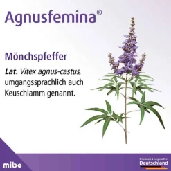 Outlet Agnusfemina 4 mg Filmtabletten , 100 St