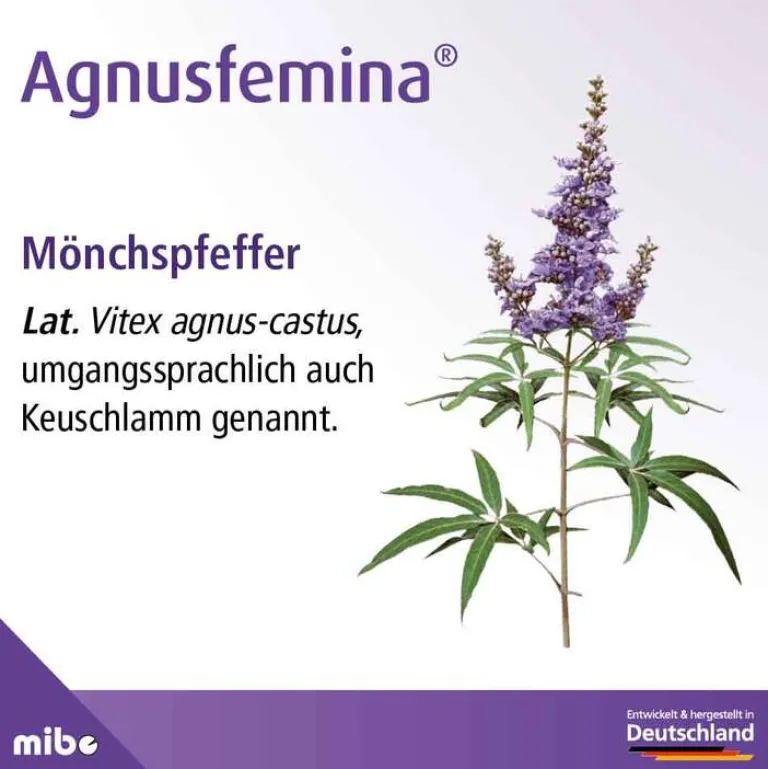 Outlet Agnusfemina 4 mg Filmtabletten , 100 St