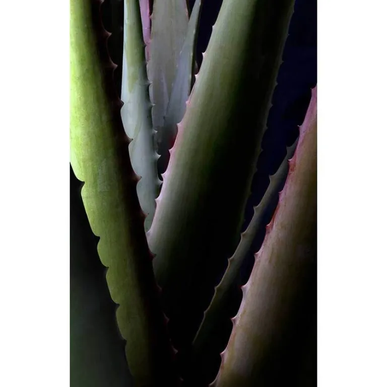 Online Aloe Vera Extra rich cream mask, 30 ml Gesichtsmasken