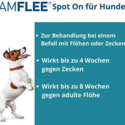 Hot 67 mg für kleine Hunde, 3 St Flöhe, Zecken & Co.