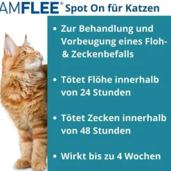 Hot Amflee 50 mg Spot-On für Katzen, 3 St
