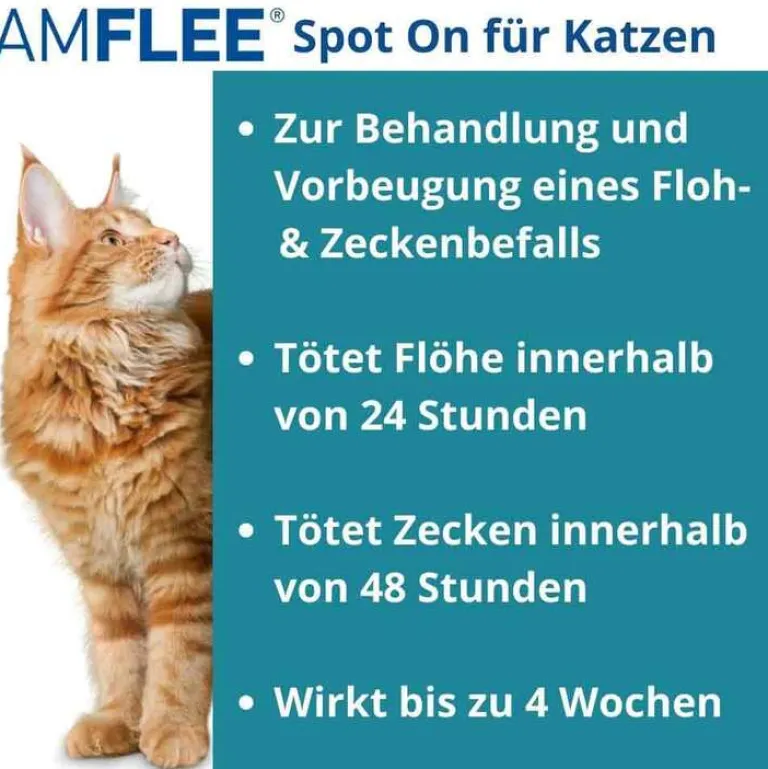 Hot Amflee 50 mg Spot-On für Katzen, 3 St