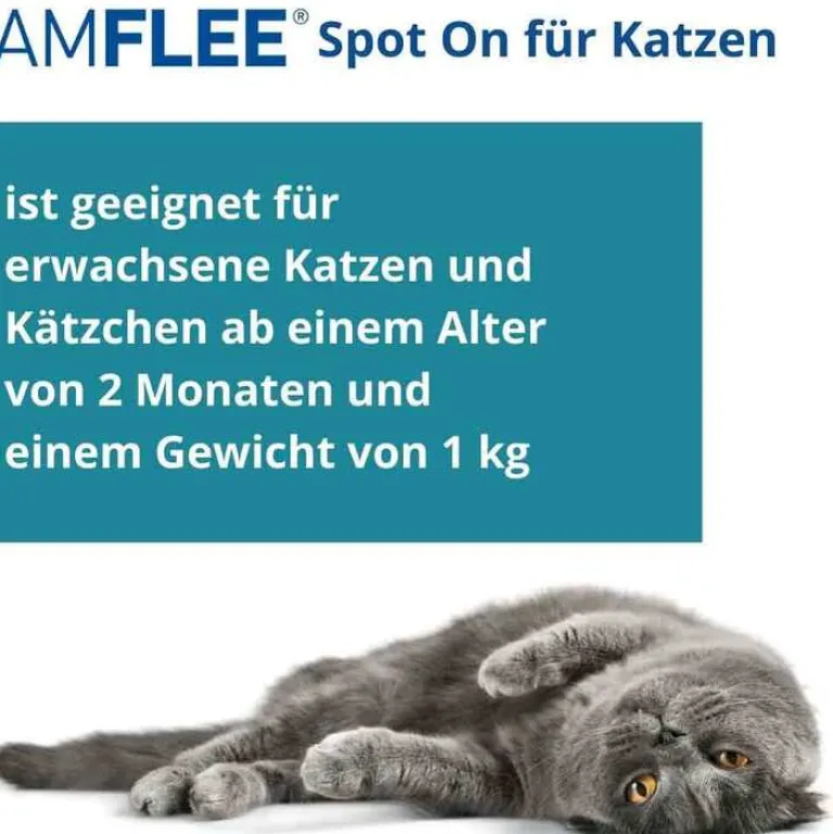 Hot Amflee 50 mg Spot-On für Katzen, 3 St