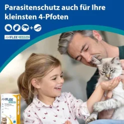 Amflee combo 50 mg/60 mg Lösung zum Auftropfen für Katzen, 3 St