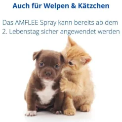 Hot Amflee Spray für Katzen und Hunde, 100 ml