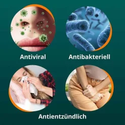 Anti-Infekt N Filmtabletten, 50 St Blasenentzündung Medikamente|Schnupfen & Nasennebenhöhlen