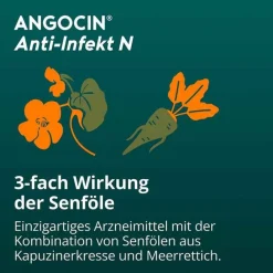 Best Angocin Anti-Infekt N Filmtabletten, 200 St