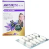 Clearance Antistress Kapseln, 30 St Erschöpfung|Hirnleistung & Nerven