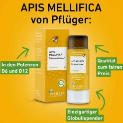 New Pflüger Apis Mellifica D12 Globuli Dosierspender, 10 g
