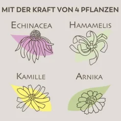 Sale Apothekers Lippenbalsam, 1 St