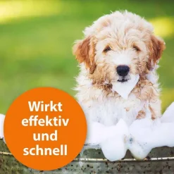 Discount ARDAP Anti-Floh Hundeshampoo, 250 ml