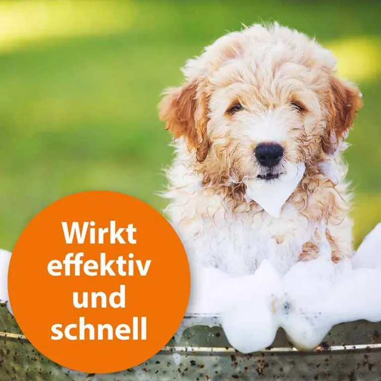 Discount ARDAP Anti-Floh Hundeshampoo, 250 ml