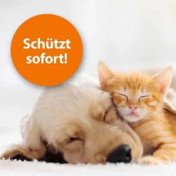 Best ARDAP Flohspray zur Anwendung am Tier, 250 ml