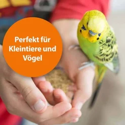 Clearance ARDAP Milben- und Zeckenspray für Nager und Ziervögel, 100 ml