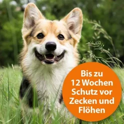 Ardap Spot-On für große Hunde über 25 kg, 3 St