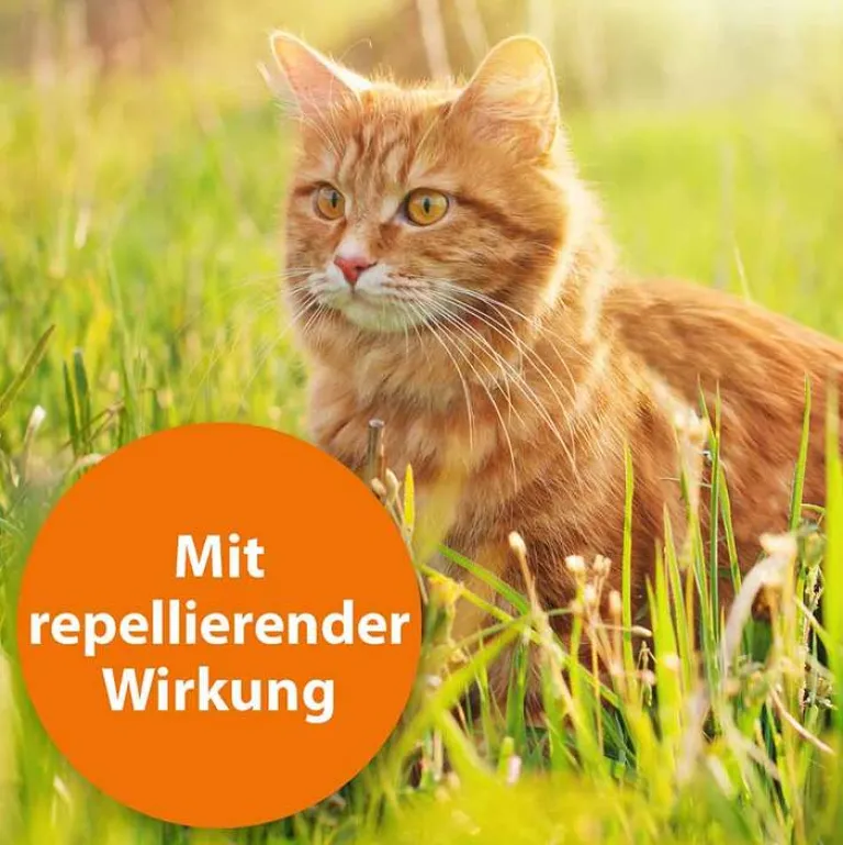 Discount ARDAP Spot-On für große Katzen über 4 kg, 3 St