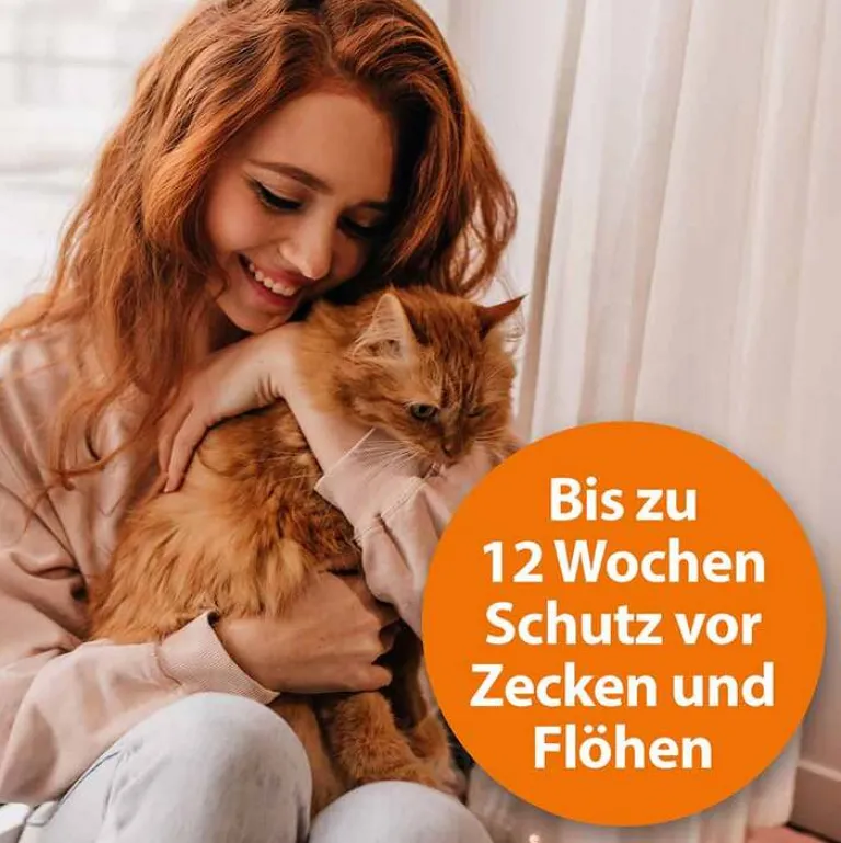 Discount ARDAP Spot-On für große Katzen über 4 kg, 3 St