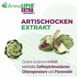 Sale Extra Tabletten mit Artischocke, 30 St Coenzym Q10|Homocysteinspiegel