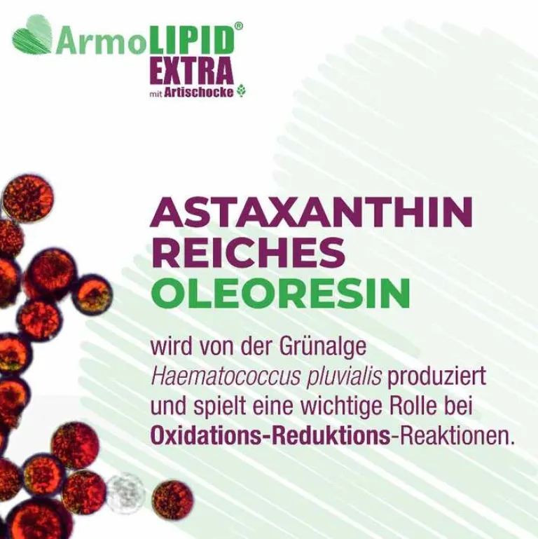 Sale Extra Tabletten mit Artischocke, 30 St Coenzym Q10|Homocysteinspiegel