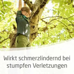 Weleda Arnika-Salbe 30% zur Behandlung stumpfer Verletzungen, 70 g