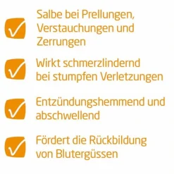 Arnika-Salbe 30% zur Behandlung stumpfer Verletzungen, 25 g