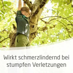 Arnika-Salbe 30% zur Behandlung stumpfer Verletzungen, 25 g