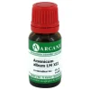 Online Arsenicum album LM 12 Dilution, 10 ml A