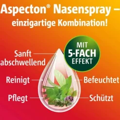 Discount Aspecton ® Nasenspray, 20 ml