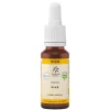 Outlet Lemon Pharma Bachblüte No.24 Pine Bio, 20 ml