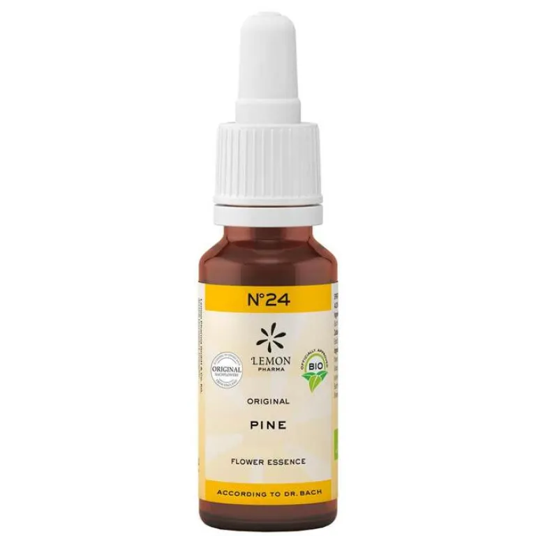 Outlet Lemon Pharma Bachblüte No.24 Pine Bio, 20 ml