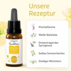 Sale Bachblüten Murnauer Original Tropfen nach Dr. Bach, 10 ml Bachblütentropfen