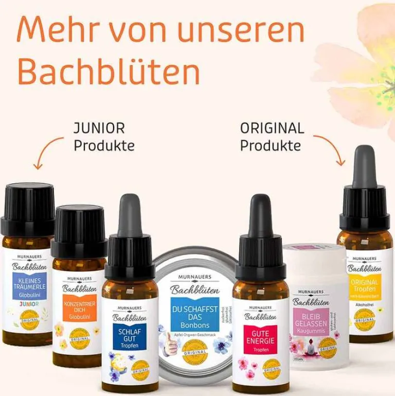 New Bachblüten Globuli Konzentrier Dich, 10 g Bachblütenglobuli