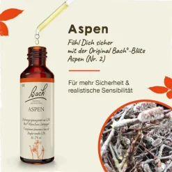Outlet Bachblüten Nr. 2 Aspen Tropfen, 20 ml Bachblütentropfen