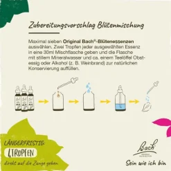 Outlet Bachblüten Nr. 2 Aspen Tropfen, 20 ml Bachblütentropfen