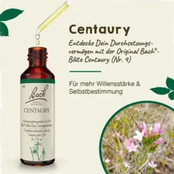 Discount Bachblüten Nr. 4 Centaury Tropfen, 20 ml Bachblütentropfen