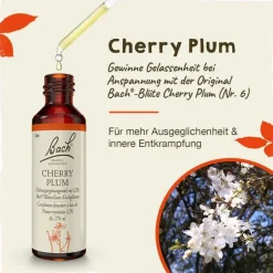 Bachblüten Nr. 6 Cherry Plum Tropfen, 20 ml Bachblütentropfen