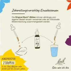 Bachblüten Nr. 7 Chestnut Bud Tropfen, 20 ml