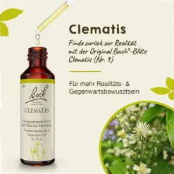 Outlet Bachblüten Nr. 9 Clematis Tropfen, 20 ml Bachblütentropfen