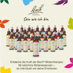 Outlet Bachblüten Nr. 10 Crab Apple Tropfen, 20 ml Bachblütentropfen