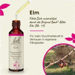 Discount Original Bachblüten Bachblüten Nr. 11 Elm Tropfen, 20 ml