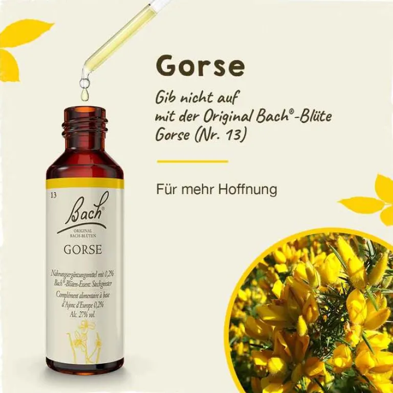 Best Bachblüten Nr. 13 Gorse Tropfen, 20 ml Bachblütentropfen